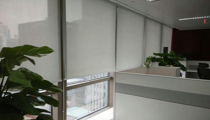 1605079787401486.jpg 20160312132445404.jpg